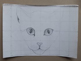 11%20Katze%20sketch.jpg